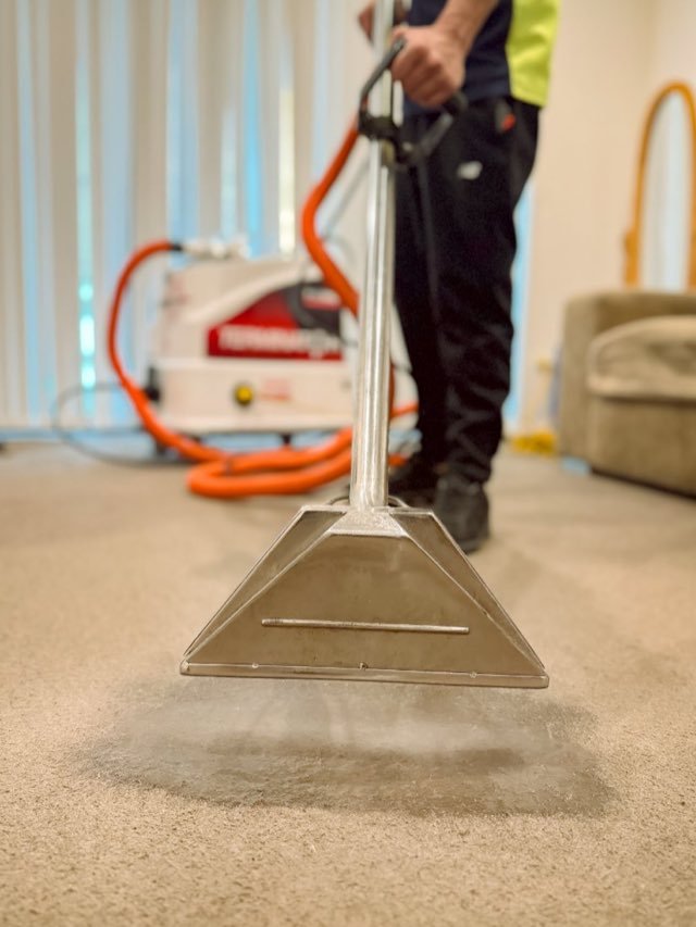 Carpet steam cleaning result