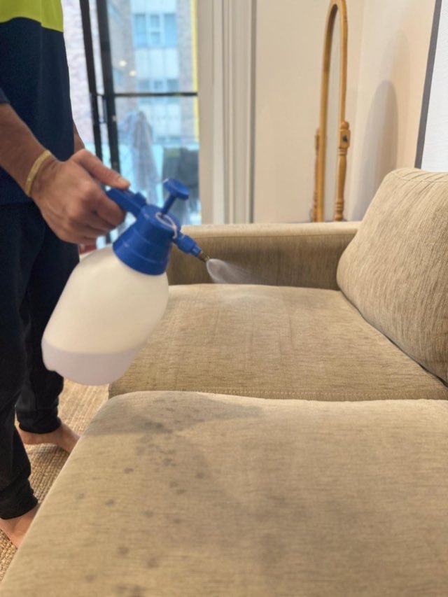 Sofa and upholstery cleaning